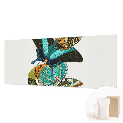 Fototapeta za steno Barviti metulji