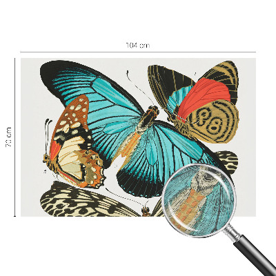 Fototapeta po meri Barviti metulji