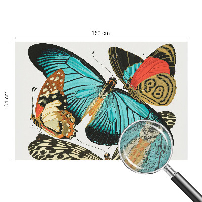 Fototapeta po meri Barviti metulji