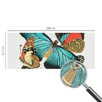 Fototapeta po meri Barviti metulji