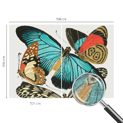 Fototapeta po meri Barviti metulji