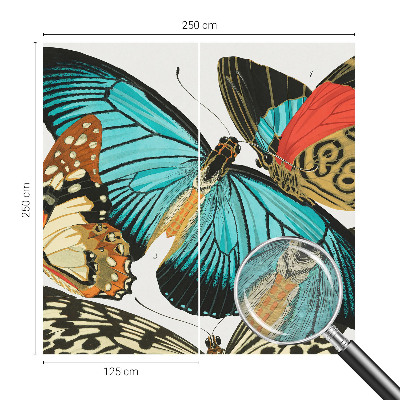 Fototapeta po meri Barviti metulji