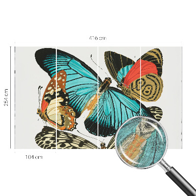 Fototapeta po meri Barviti metulji