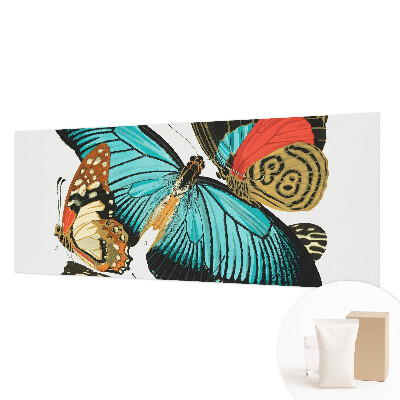 Fototapeta po meri Barviti metulji