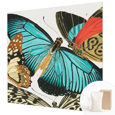 Fototapeta po meri Barviti metulji