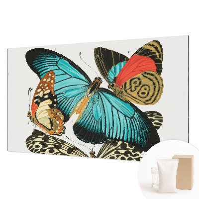 Fototapeta po meri Barviti metulji