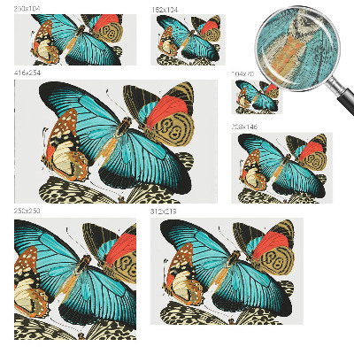 Fototapeta po meri Barviti metulji