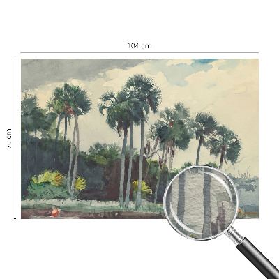 Flis fototapeta za otroško sobo z motivom eksotičnih palm