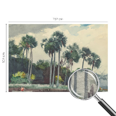 Flis fototapeta za otroško sobo z motivom eksotičnih palm
