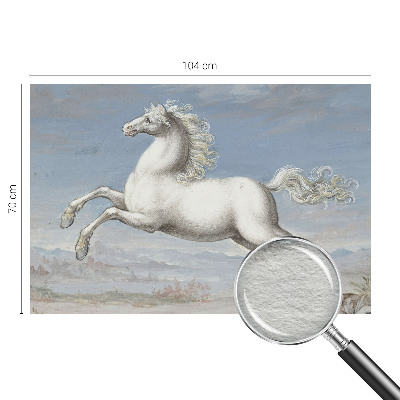 Visokokakovostna fototapeta Konji v skoku