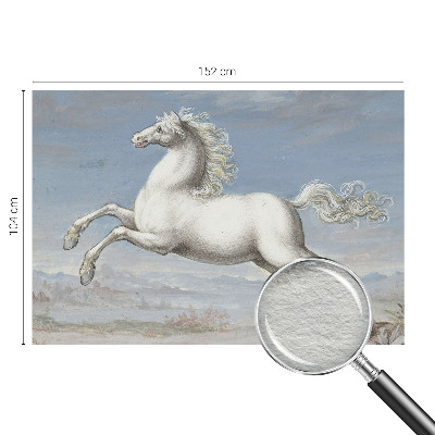 Visokokakovostna fototapeta Konji v skoku