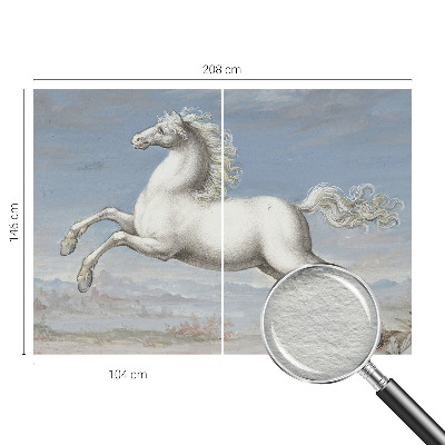 Visokokakovostna fototapeta Konji v skoku