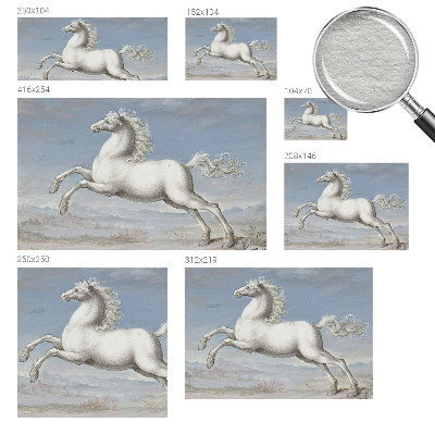 Visokokakovostna fototapeta s motivom konjev v skoku