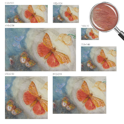 Fototapeta Barviti metulji