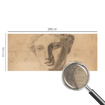 Fototapeta po meri Ženski portret