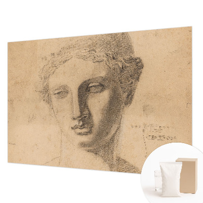 Fototapeta po meri Ženski portret