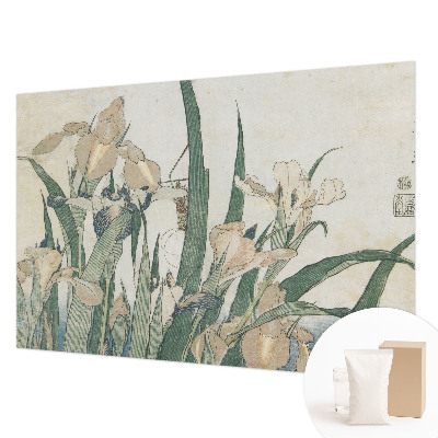 Stenska dekoracija fototapeta Nežne perunike