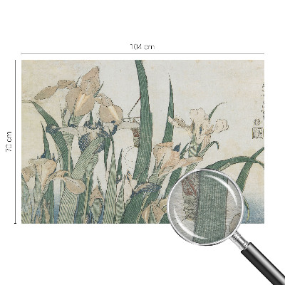 Stenska dekoracija fototapeta Nežne perunike