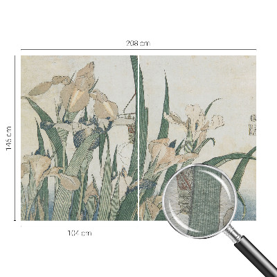 Stenska dekoracija fototapeta Nežne perunike