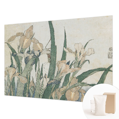 Stenska dekoracija fototapeta Nežne perunike