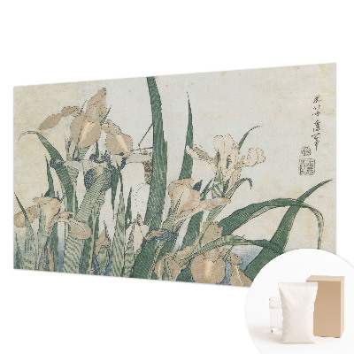 Stenska dekoracija fototapeta Nežne perunike