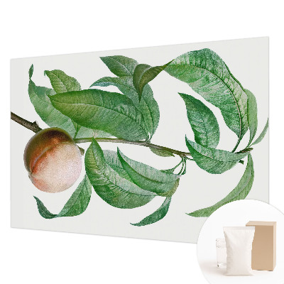 Netkana fototapeta Zrela breskev