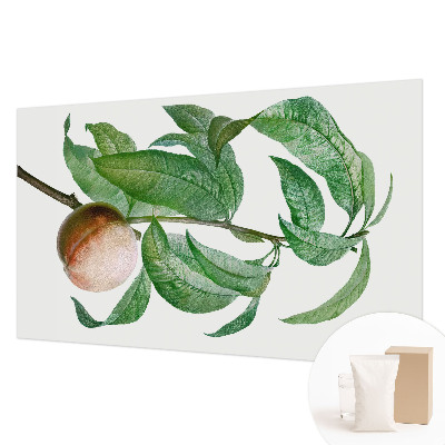 Netkana fototapeta Zrela breskev