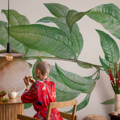 Netkana fototapeta Zrela breskev