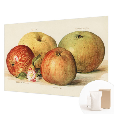 Netkana fototapeta Jabolčni cvetovi