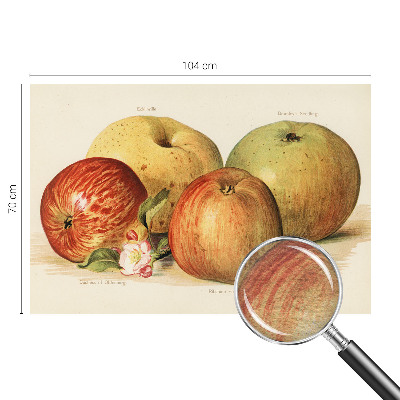 Netkana fototapeta Jabolčni cvetovi