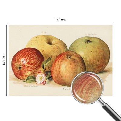 Netkana fototapeta Jabolčni cvetovi