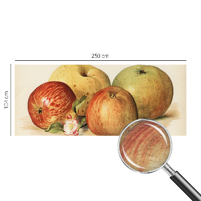 Netkana fototapeta Jabolčni cvetovi