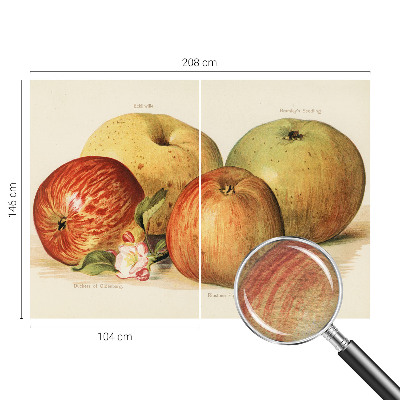 Netkana fototapeta Jabolčni cvetovi