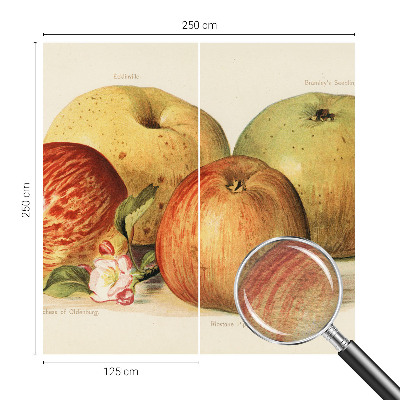 Netkana fototapeta Jabolčni cvetovi