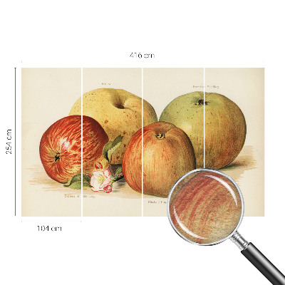 Netkana fototapeta Jabolčni cvetovi