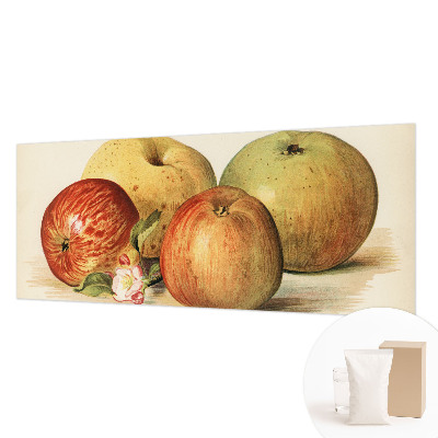 Netkana fototapeta Jabolčni cvetovi