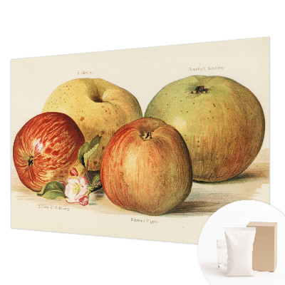 Netkana fototapeta Jabolčni cvetovi