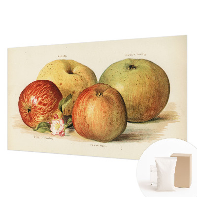 Netkana fototapeta Jabolčni cvetovi