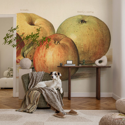 Netkana fototapeta Jabolčni cvetovi