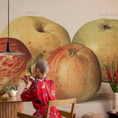 Netkana fototapeta Jabolčni cvetovi