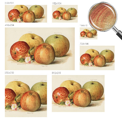 Netkana fototapeta Jabolčni cvetovi