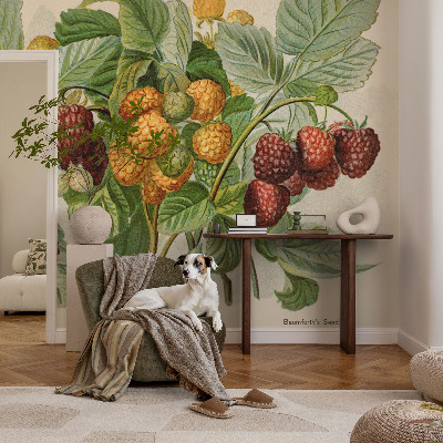 Stenska fototapeta flis Klasične maline