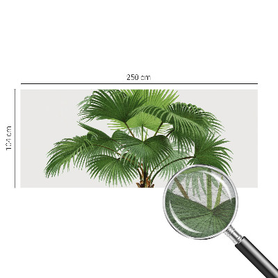 Fototapeta z eksotičnim motivom palme
