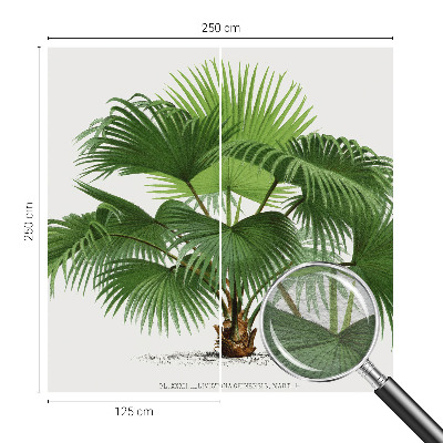 Fototapeta z eksotičnim motivom palme