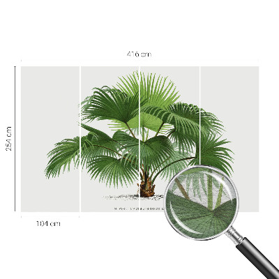 Fototapeta z eksotičnim motivom palme