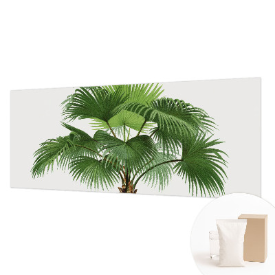 Fototapeta z eksotičnim motivom palme