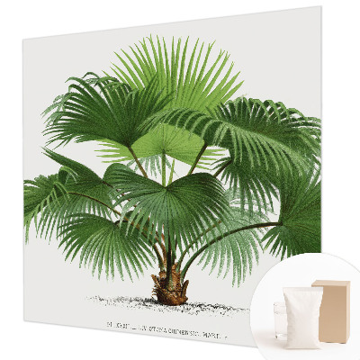 Fototapeta z eksotičnim motivom palme