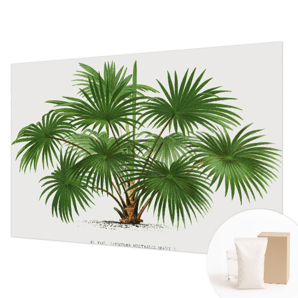 Foto tapeta Eksotični vzorec