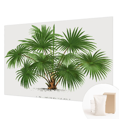 Foto tapeta Eksotični vzorec