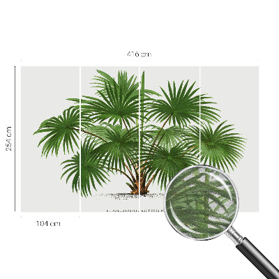 Foto tapeta Eksotični vzorec